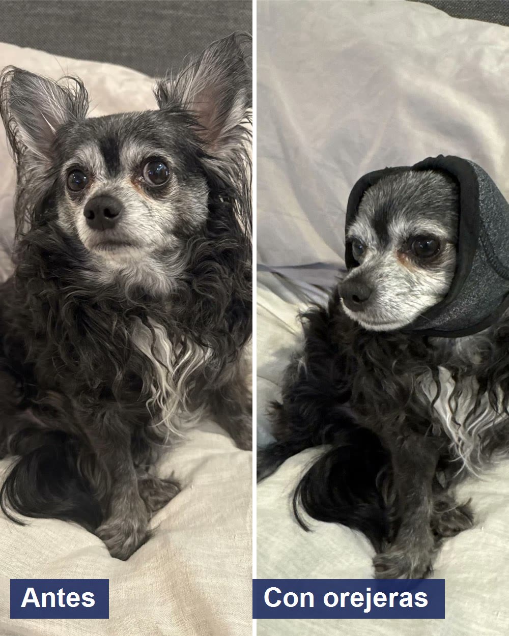 Antes y después real