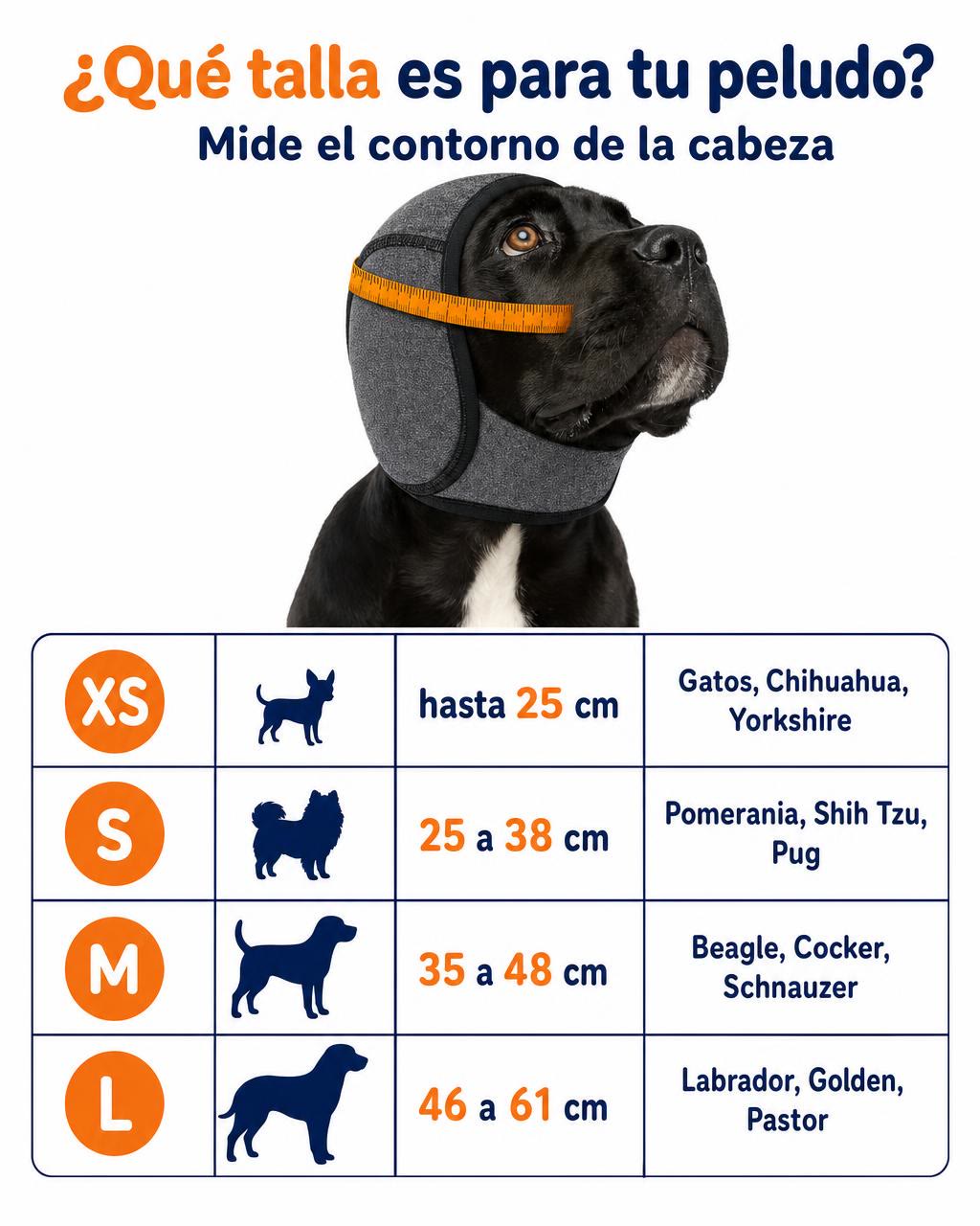 4 tallas para perros y gatos