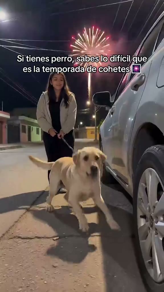 Así lo vive un perrito con los cohetes